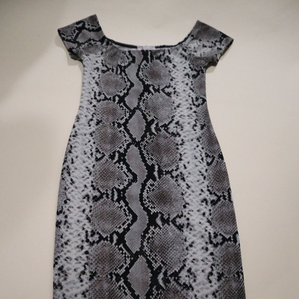 Timing Snake Print Dress